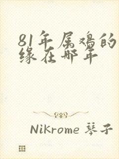 81年属鸡的姻缘在哪年