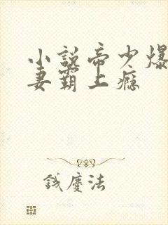 小说帝少爆宠娇妻霸上瘾