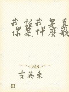 我说我是真的爱你是什么歌的歌词