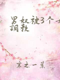 男奴被3个女王调教