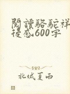 阅读骆驼祥子读后感600字