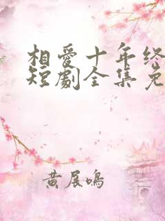 相爱十年终成空短剧全集免费观看