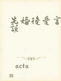 先婚后爱言情小说