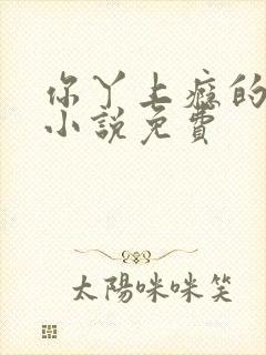 你丫上瘾的原著小说免费