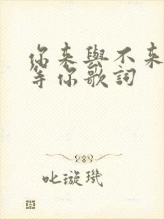 你来与不来我都等你歌词