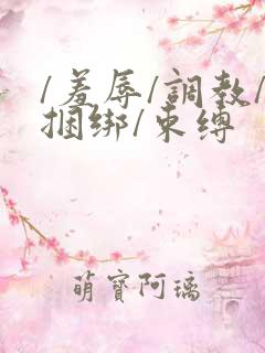 /羞辱/调教/捆绑/束缚