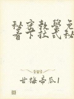 秘密教学免费观看下拉式秘密教学