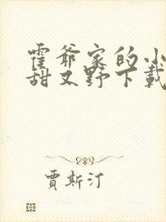 霍爷家的小祖宗甜又野下载txt