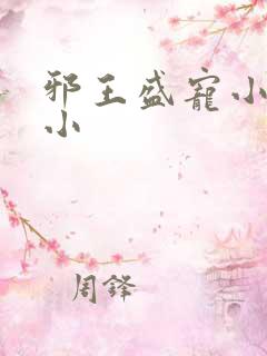 邪王盛宠小毒妃小