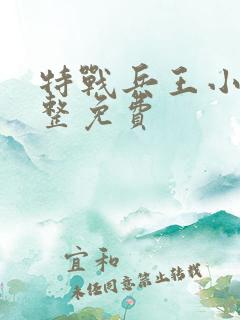 特战兵王小说完整免费