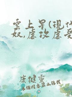 云上星(现代家奴,虐攻虐受,虐身虐心