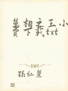 万相之王小说免费下载txt