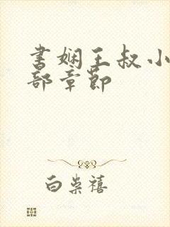 书娴王叔小说全部章节