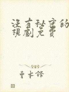 没有秘密的你电视剧免费