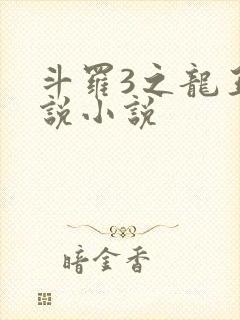 斗罗3之龙王传说小说