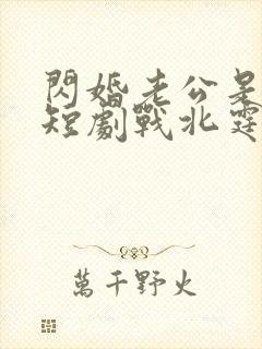 闪婚老公是豪门短剧战北霆