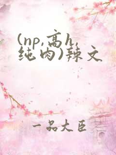 (np,高h,纯肉)辣文