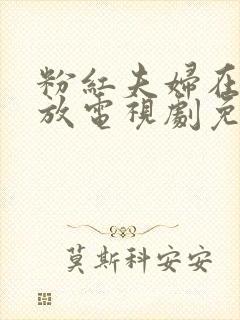 粉红夫妇在线播放电视剧免费观看