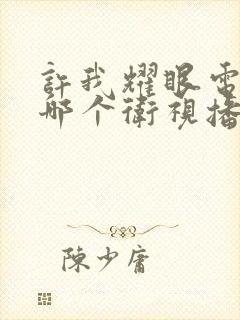 许我耀眼电视剧哪个卫视播出