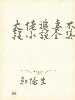 大佬追妻不择手段小说全集阅读