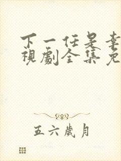 下一任是幸福电视剧全集免费观看