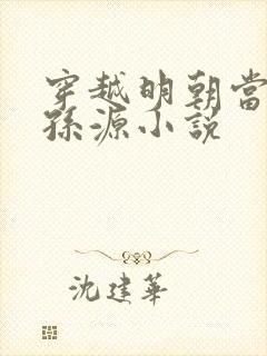 穿越明朝当老大孙源小说