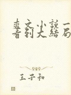 爽文小说一口气看到大结局