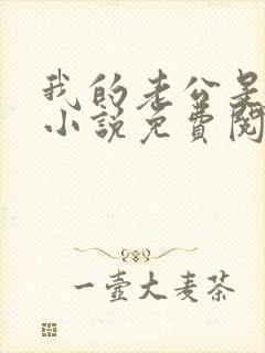 我的老公是酷哥小说免费阅读