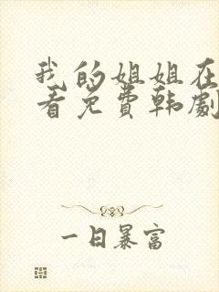 我的姐姐在线观看免费韩剧全集