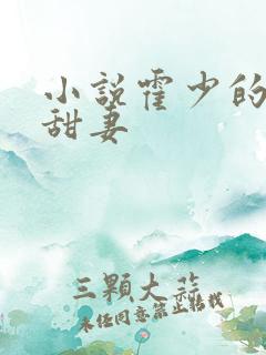 小说霍少的契约甜妻