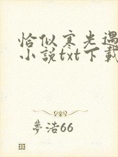 恰似寒光遇骄阳小说txt下载完整版