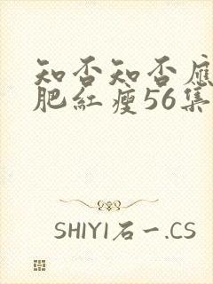 知否知否应是绿肥红瘦56集在线观看