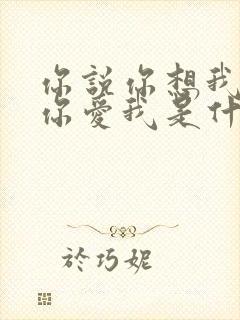 你说你想我你说你爱我是什么歌