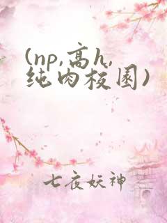 (np,高h,纯肉校园)