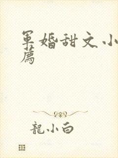 军婚甜文小说推荐