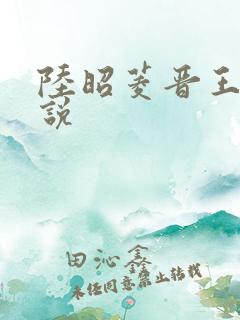 陆昭菱晋王的小说