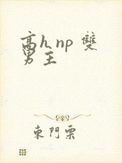高h np 双男主