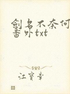 剑名不奈何完结番外txt