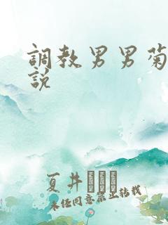 调教男男菊花小说