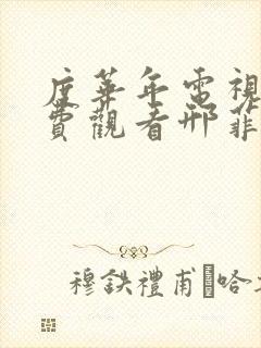 度华年电视剧免费观看邢菲