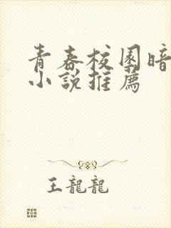 青春校园暗恋文小说推荐