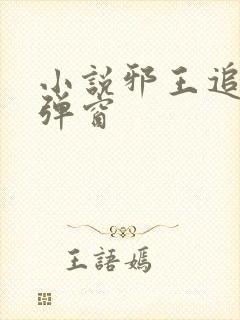 小说邪王追妻无弹窗