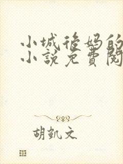 小城后妈的春天小说免费阅读