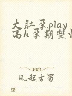 大肚孕play高h孕期双性