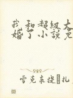 我和超级大佬隐婚了小说免费看