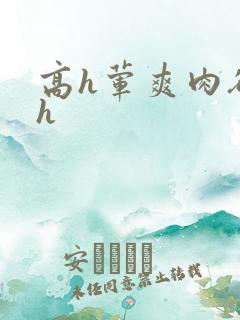 高h荤爽肉欲文h