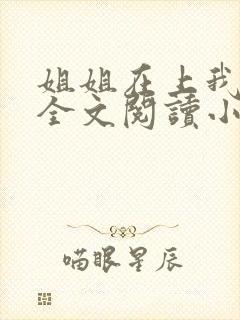 姐姐在上我在下全文阅读小说