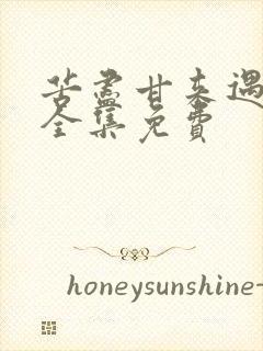 苦尽甘来遇见你全集免费