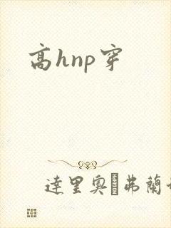 高hnp穿