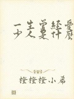 一生曾经爱过多少人是什么歌